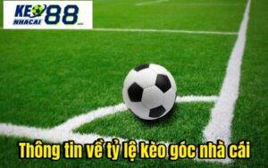 Thông tin về tỷ lệ kèo góc nhà cái