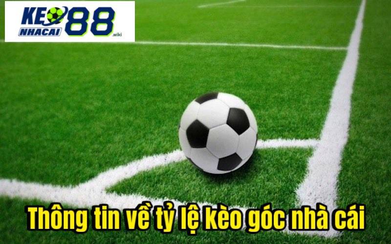 Thông tin về tỷ lệ kèo góc nhà cái